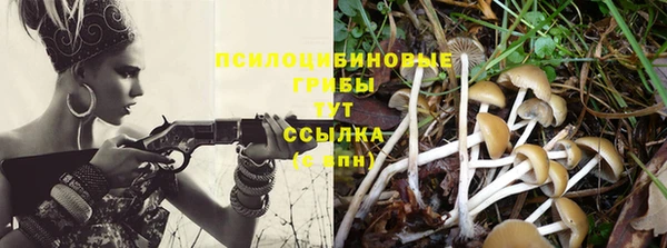 наркотики Богданович