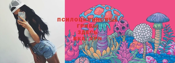 не бодяженный Чегем