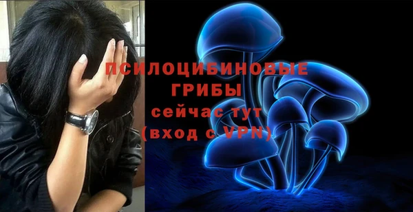 MESCALINE Богородицк