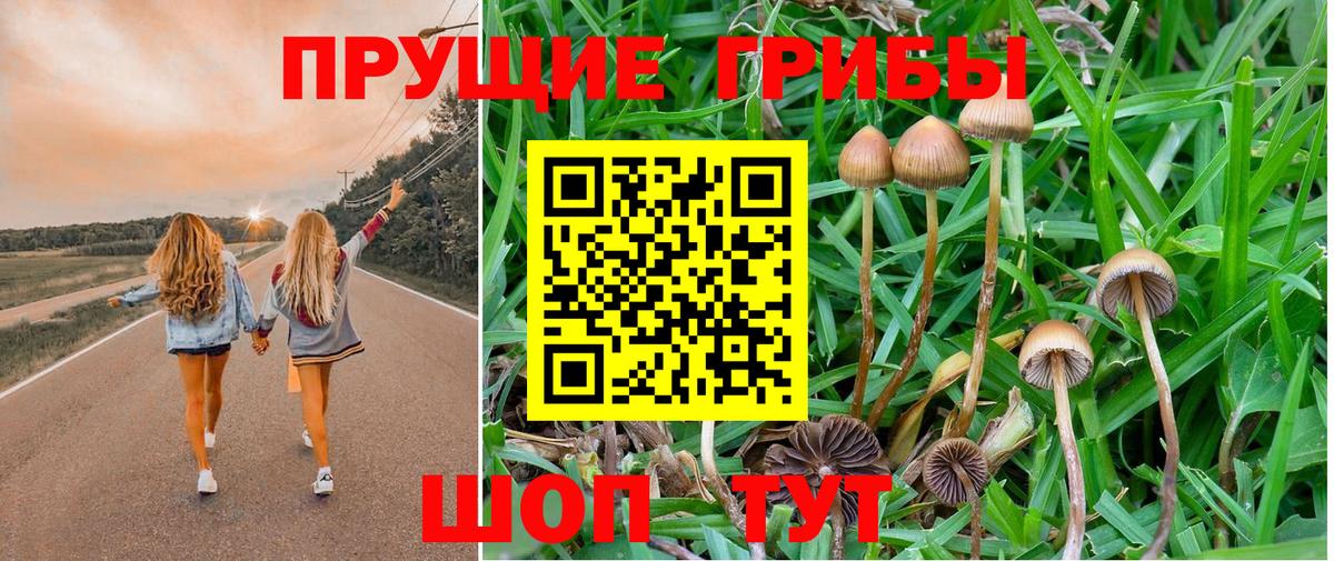 Codein Ногинск