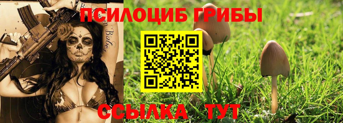 Галлюциногенные грибы Magic Shrooms Ногинск